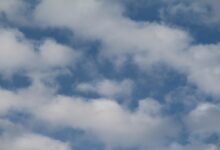 Cloud Insurance Software