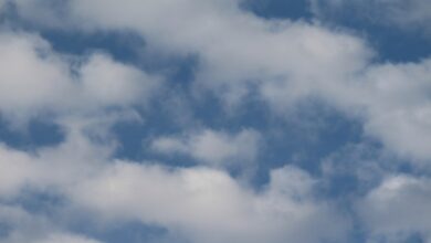 Cloud Insurance Software