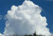 cloud insurance software