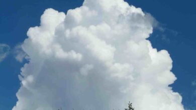 cloud insurance software