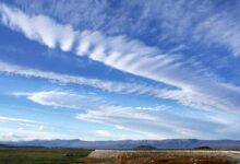 Cloud Native Insurance