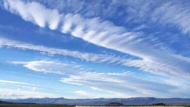 Cloud Native Insurance