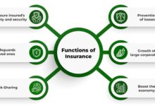 Insurance Data Analytics